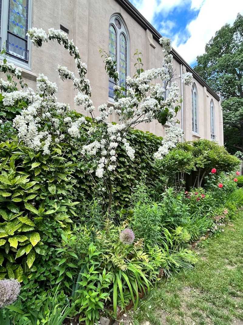 The Secret Garden Brooklyn