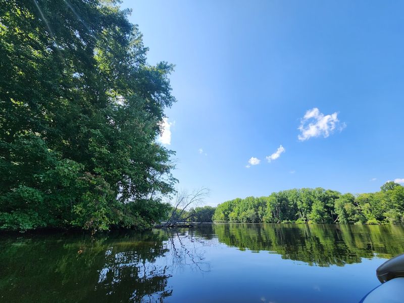Lums Pond