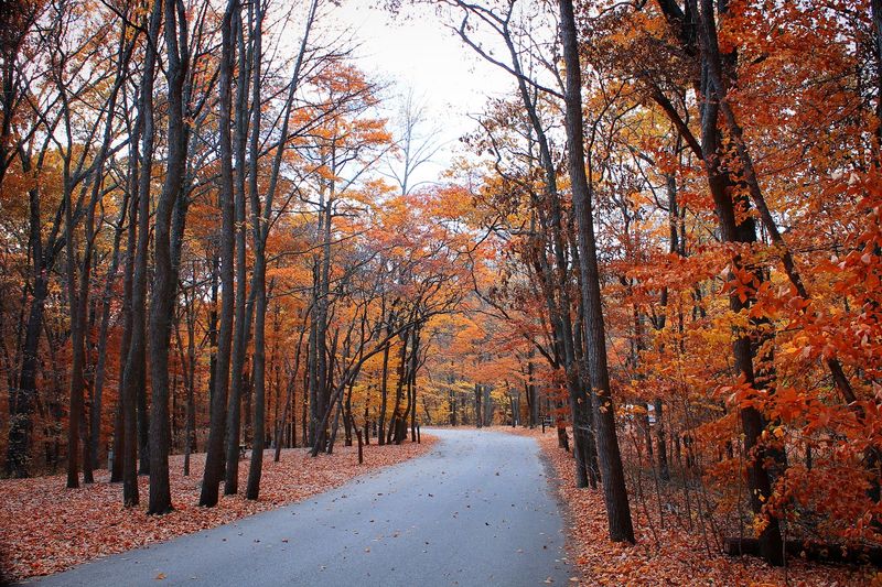 Brown County State Park