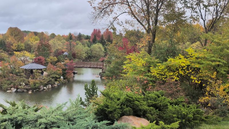 The Japanese Garden
