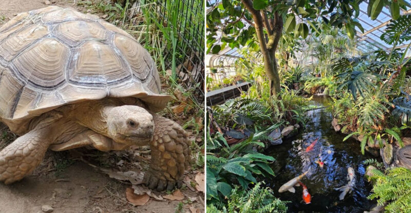 Inside The Connecticut Zoo That Lets You Meet Rare And Wild Animals