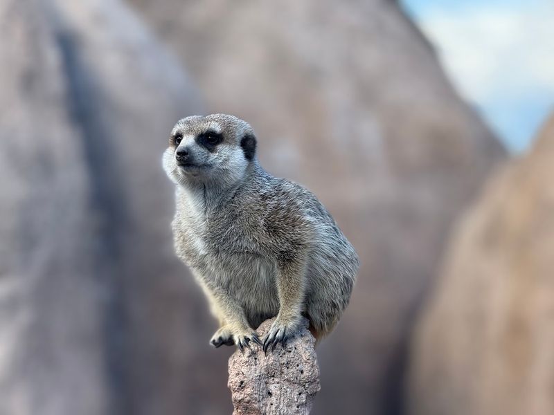 Practical Tips For Your Visit