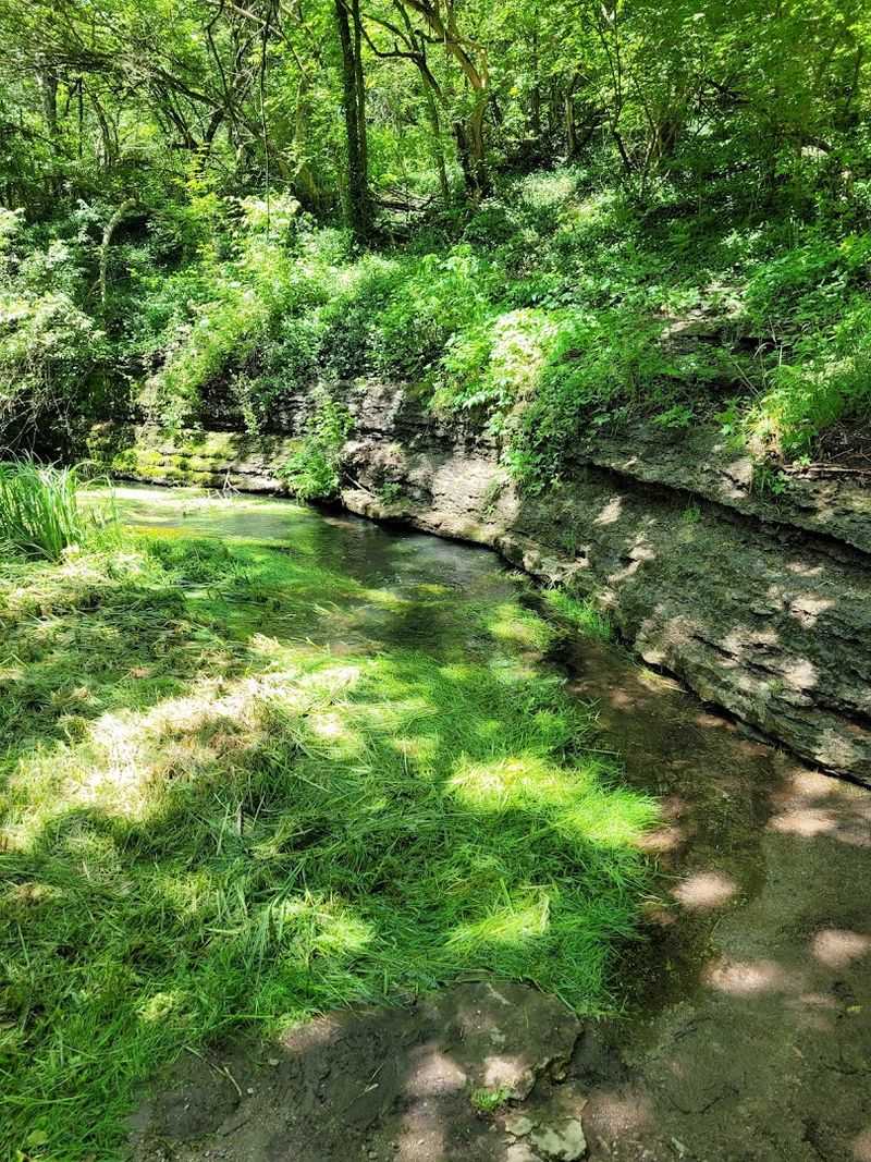 Natural Springs And Limestone Features That Feel Otherworldly