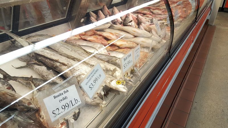 Fresh And Live Seafood Certainly Stands Out