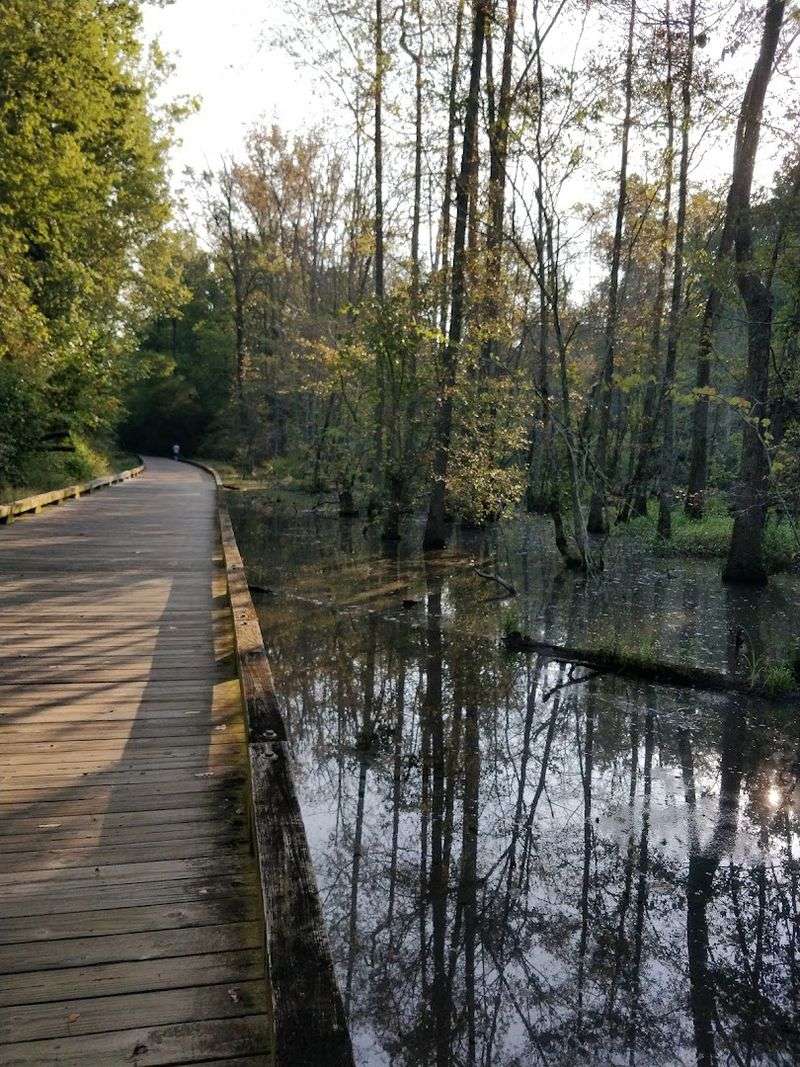 14 Remote Georgia Pedaling Destinations That Feel Impossibly Peaceful - Decor Hint Big Creek Greenway