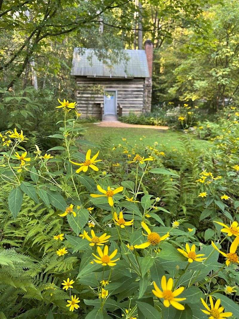 North Carolina Botanical Garden, Chapel Hill