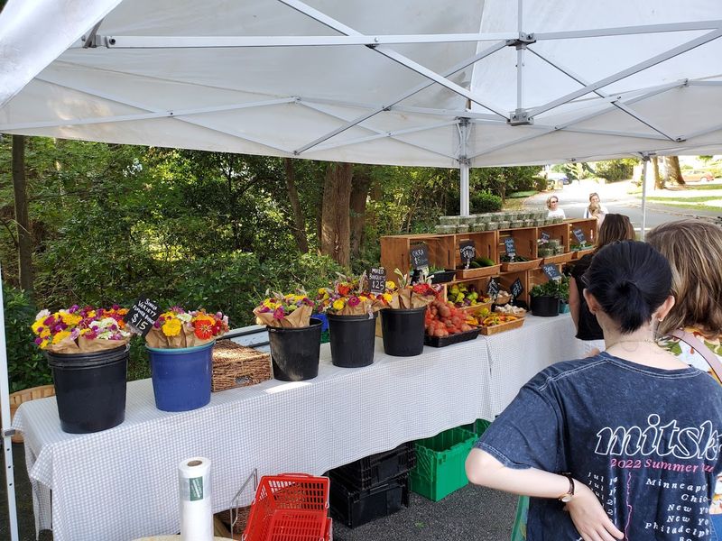 15 Farmers Markets In Georgia That Turn Your Lazy Saturday Morning Into The Best Part Of The Weekend - Decor Hint Morningside Farmers Market