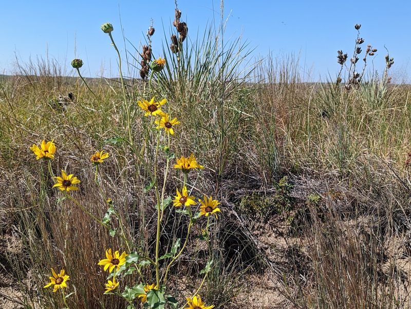 February: Valentine National Wildlife Refuge, Valentine