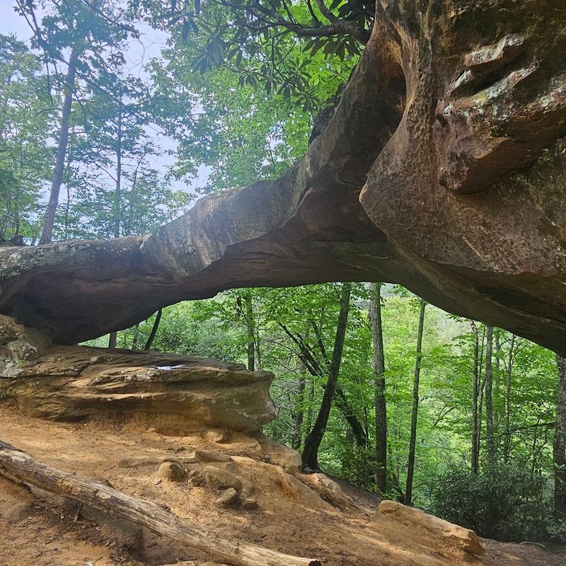 January: Red River Gorge Geological Area