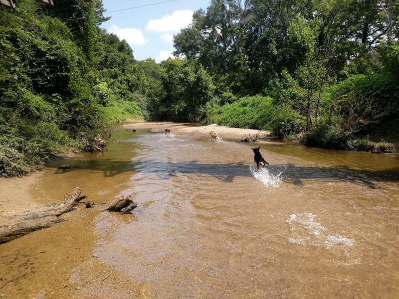Morningside Nature Preserve, Atlanta