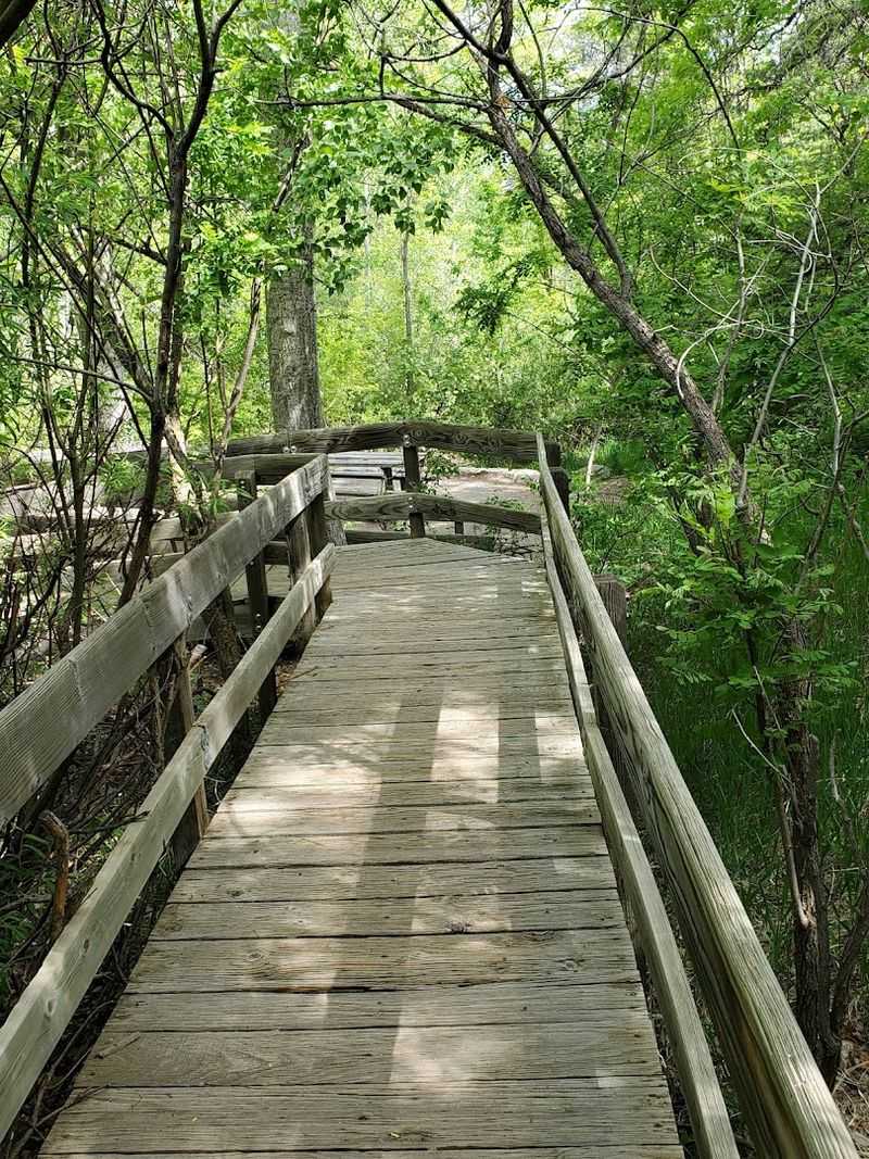 Las Huertas Canyon To Sandia Crest 