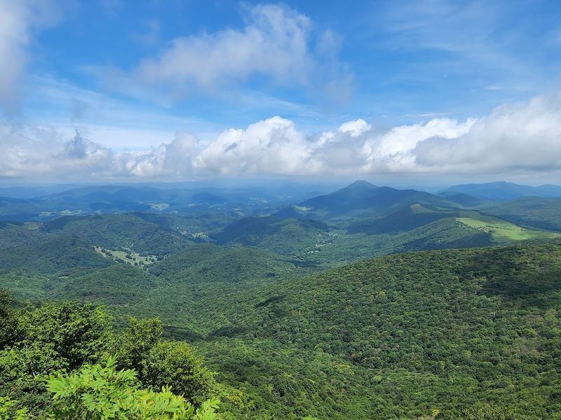 Elk Knob Summit Trail