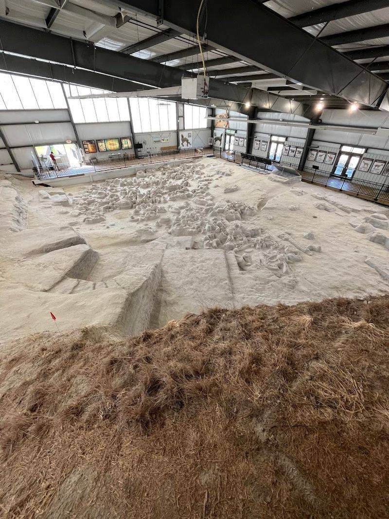 August: Ashfall Fossil Beds State Historical Park, Royal