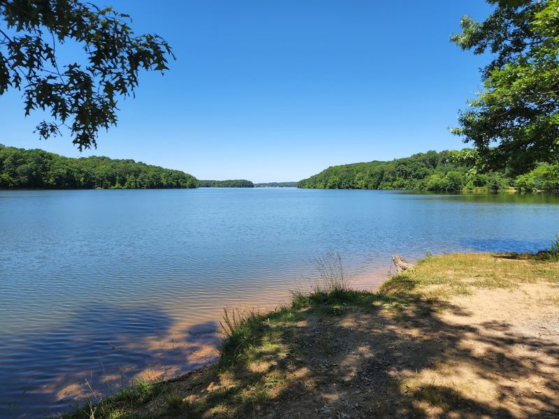 July: Land Between the Lakes National Recreation Area