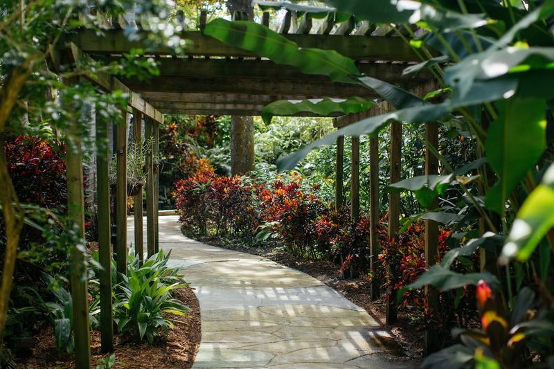 Sunken Gardens, St. Petersburg