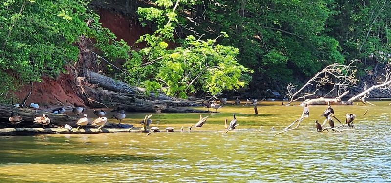 Wildlife And Nature Trails
