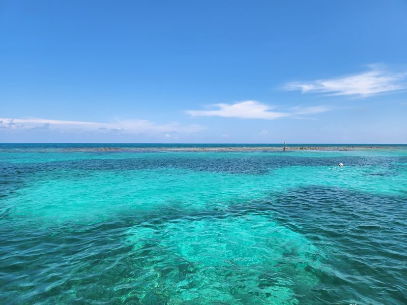 Snorkel The Living Coral Reef At John Pennekamp Coral Reef State Park