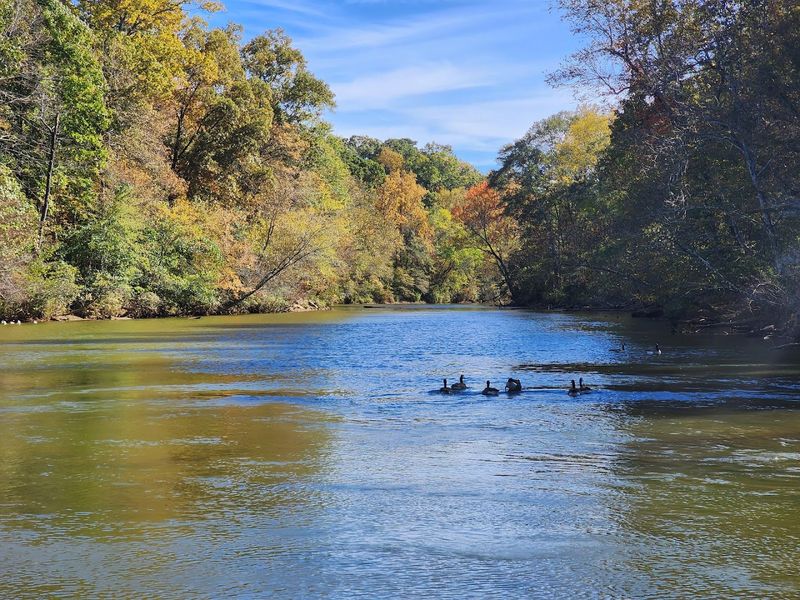 Chattahoochee River National Recreation Area Island Ford Unit