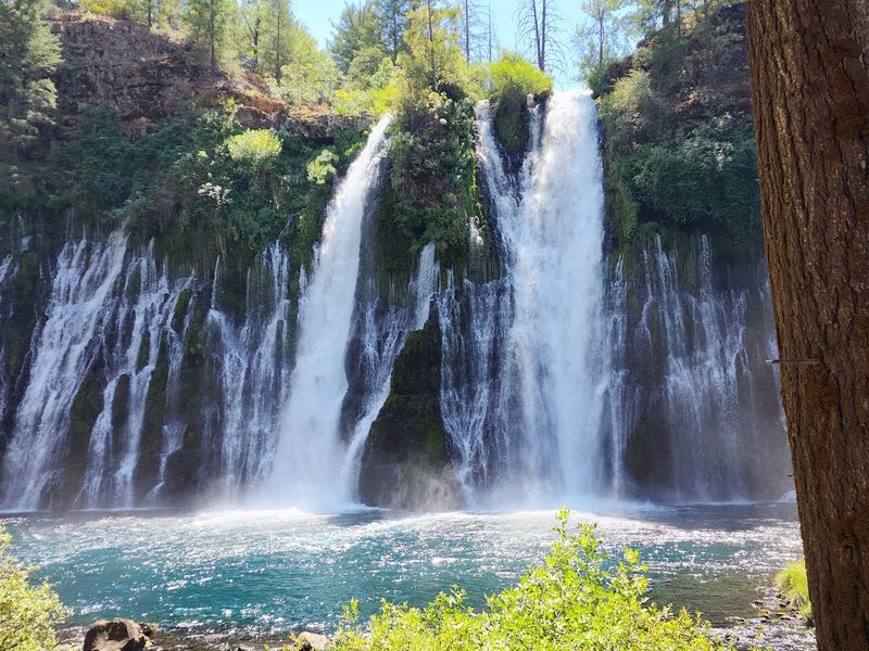 12 Scenic Spots In California That Feel Almost Suspiciously Photogenic In Person - Decor Hint McArthur-Burney Falls Memorial State Park, Burney