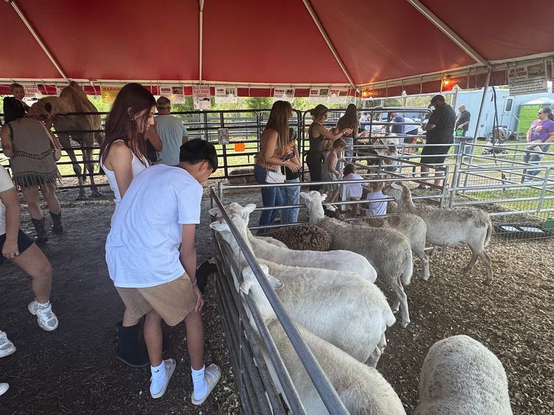 A Petting Zoo Worth The Trip Alone