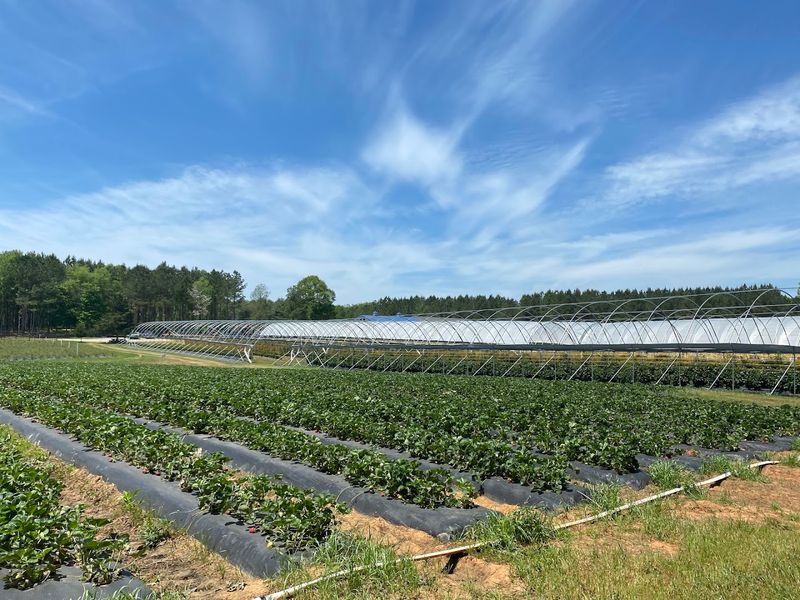 Eno River Farm