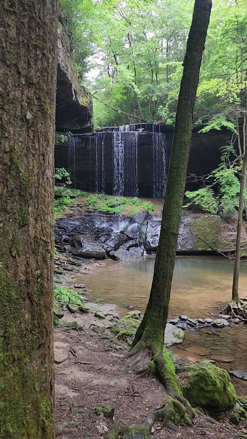 Sougahoagdee Falls Trail, Bankhead National Forest