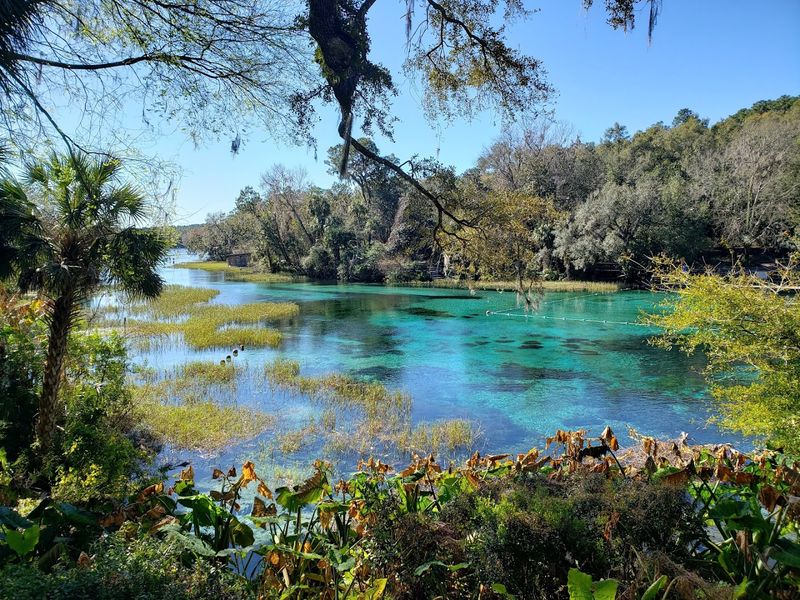 Rainbow Springs State Park
