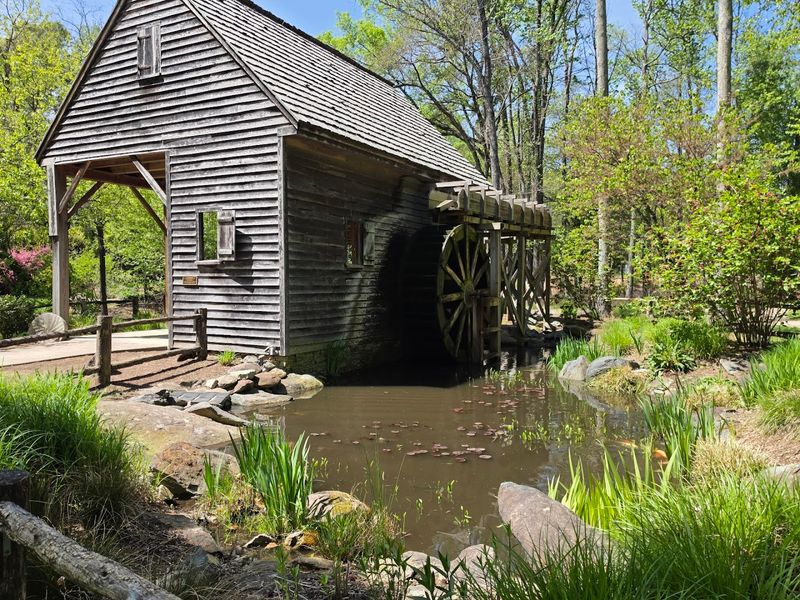 Free Admission and Year-Round Visits