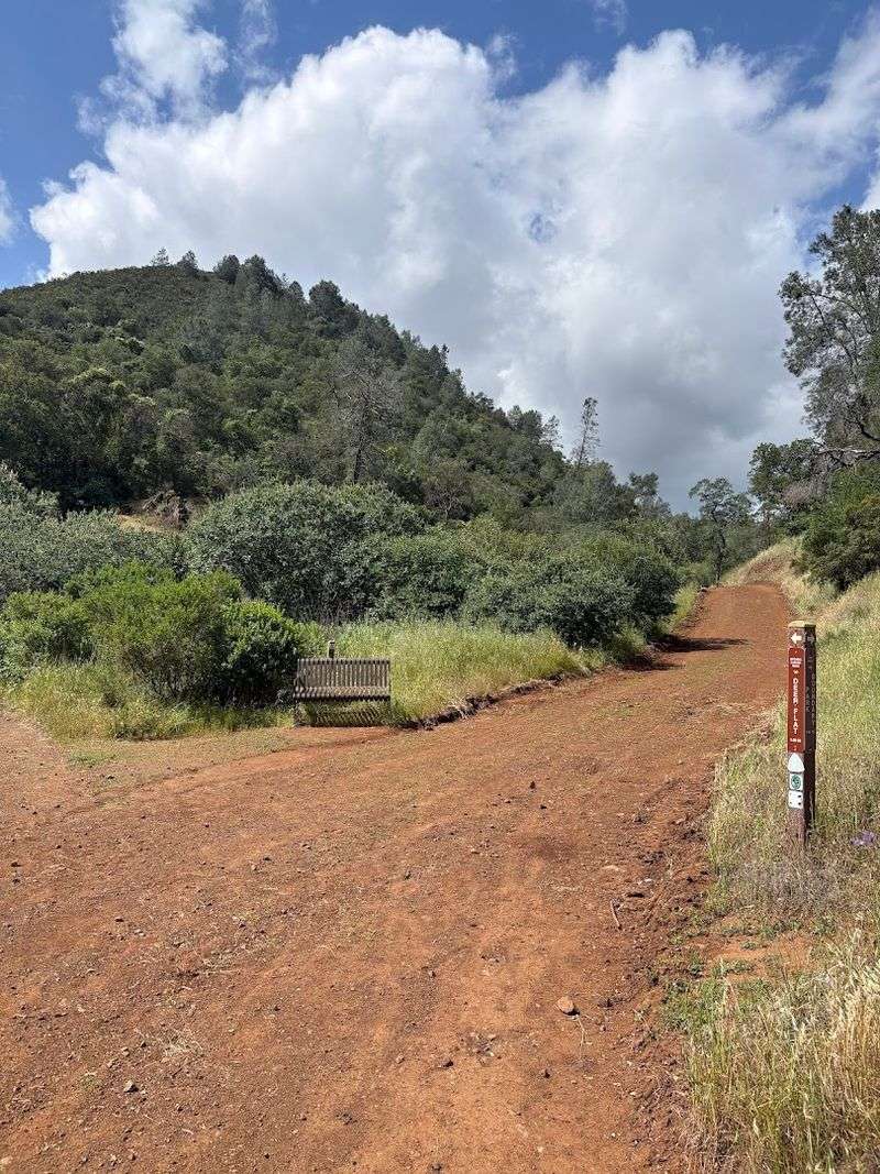 Mount Diablo State Park, Mitchell Canyon Trail
