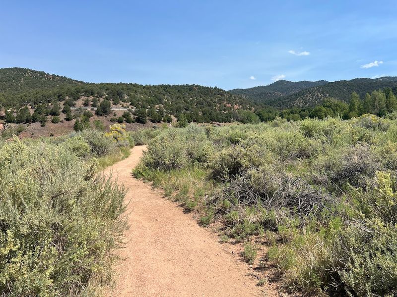 Dale Ball Trails