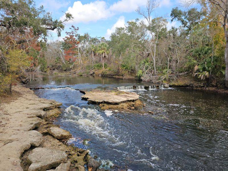Steinhatchee Falls