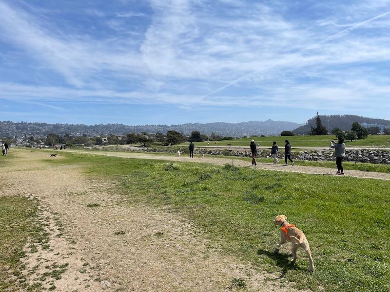 These 13 Dog-Friendly Trails In Northern California Are Perfect For A Weekend Outing - Decor Hint Point Isabel Regional Shoreline, Richmond