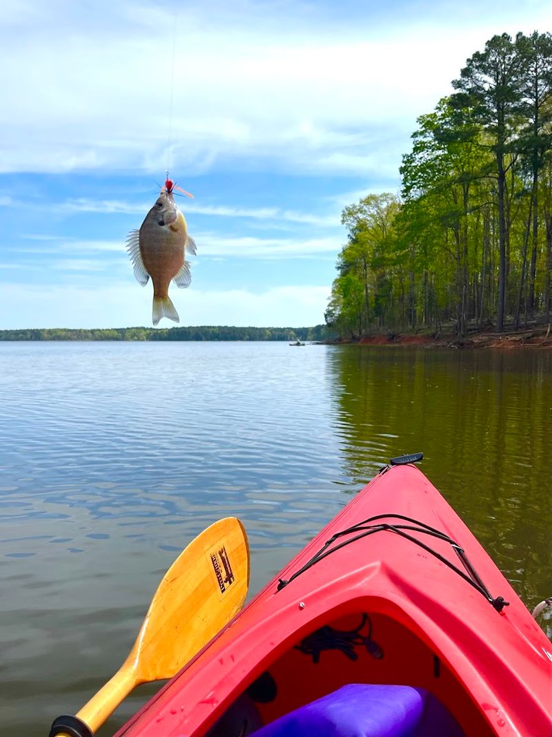 Jordan Lake
