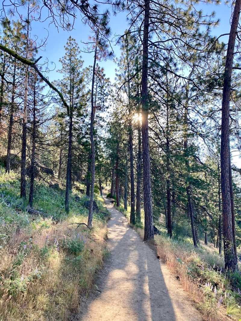 This Short Idaho Hike Offers Some Of The Most Memorable Views In The State - Decor Hint Wildlife And Wildflowers Along The Way