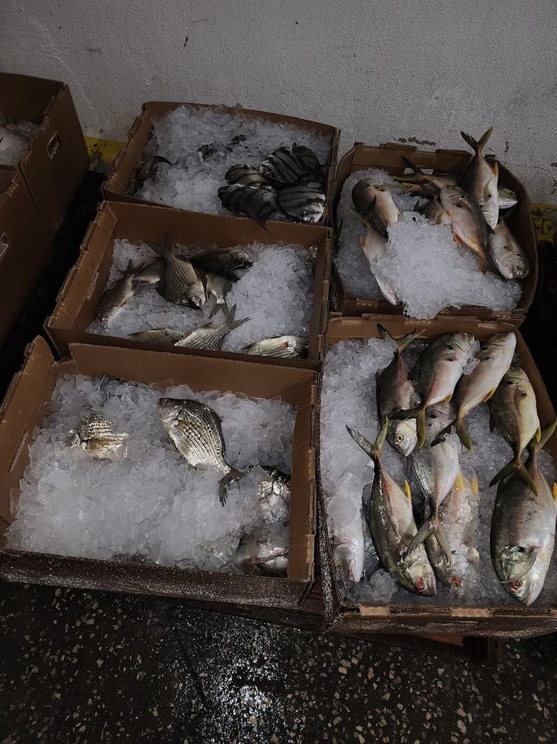 A P Bell Fish Co Inc