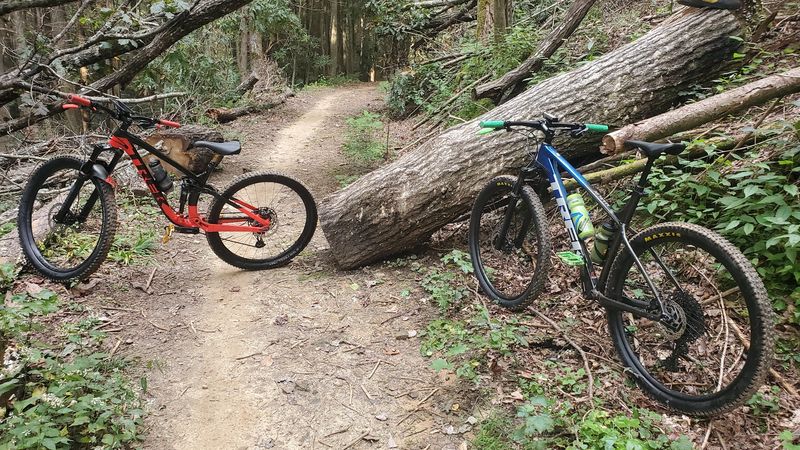 Aska Trail System