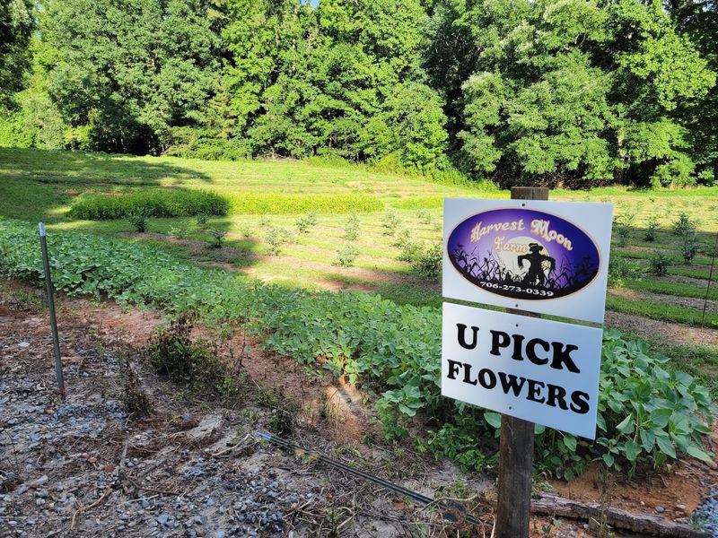 Harvest Moon Farm Ellijay