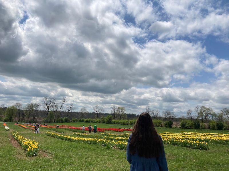 Why 2026 Is Your Year To Visit Kentucky's Lavender Bloom - Decor Hint Reasonable Ticket Prices That Make It Accessible