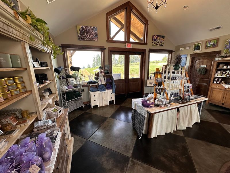 A Gift Shop Packed With Over 60 Handmade Products