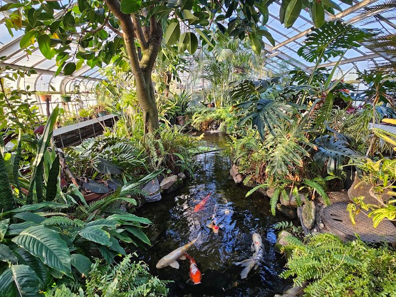 Walk Through A Tropical Rainforest Exhibit