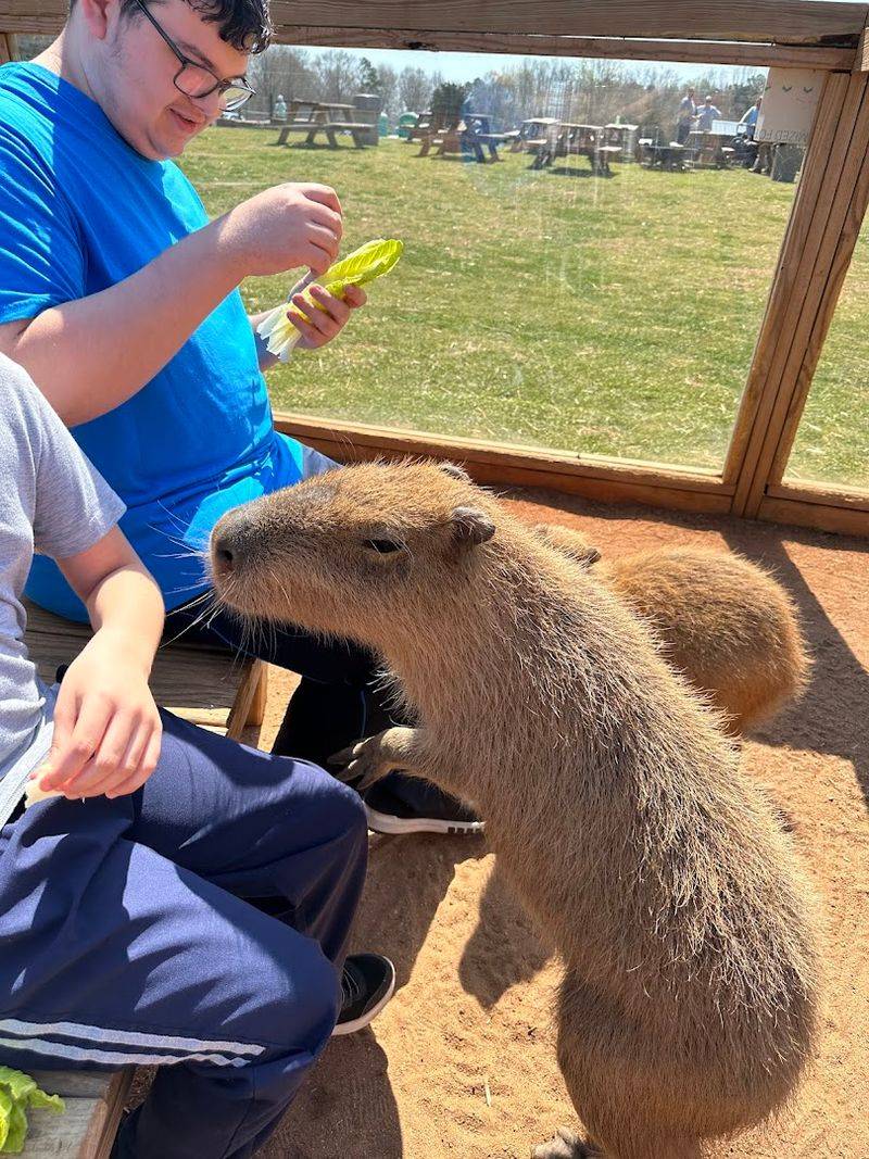 Admission Pricing And Visiting Hours