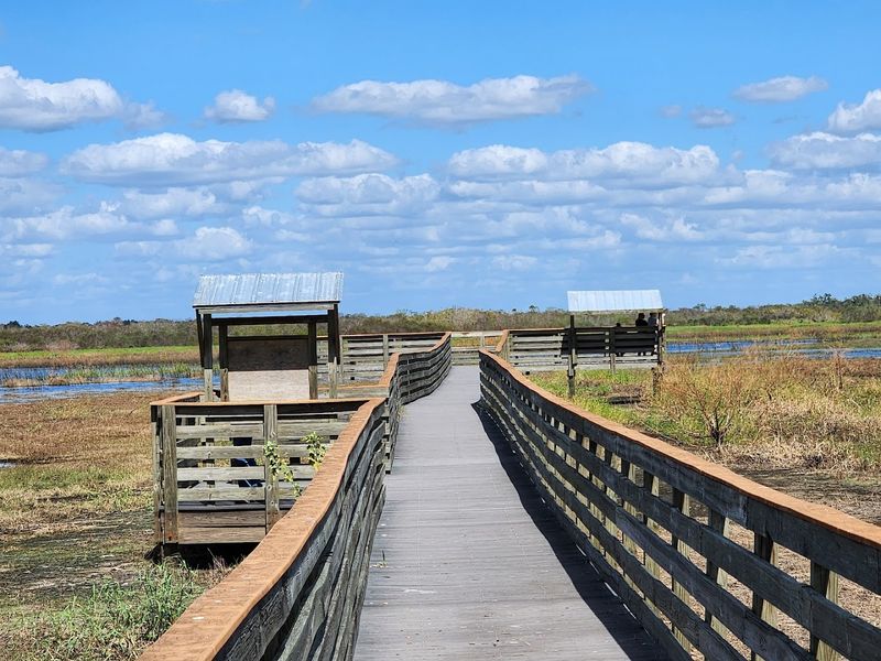 Myakka River State Park 