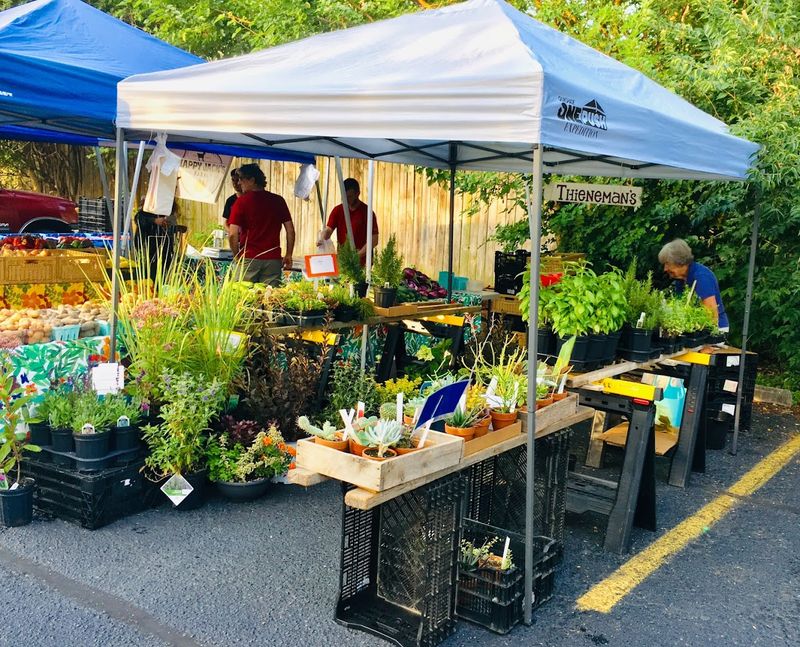 The Original Bardstown Road Farmers Market