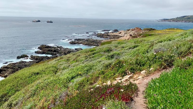 Garrapata State Park, Carmel Highlands