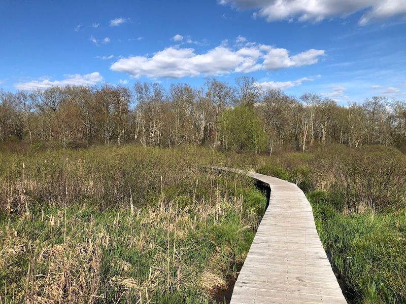 White Memorial Conservation Center, Litchfield