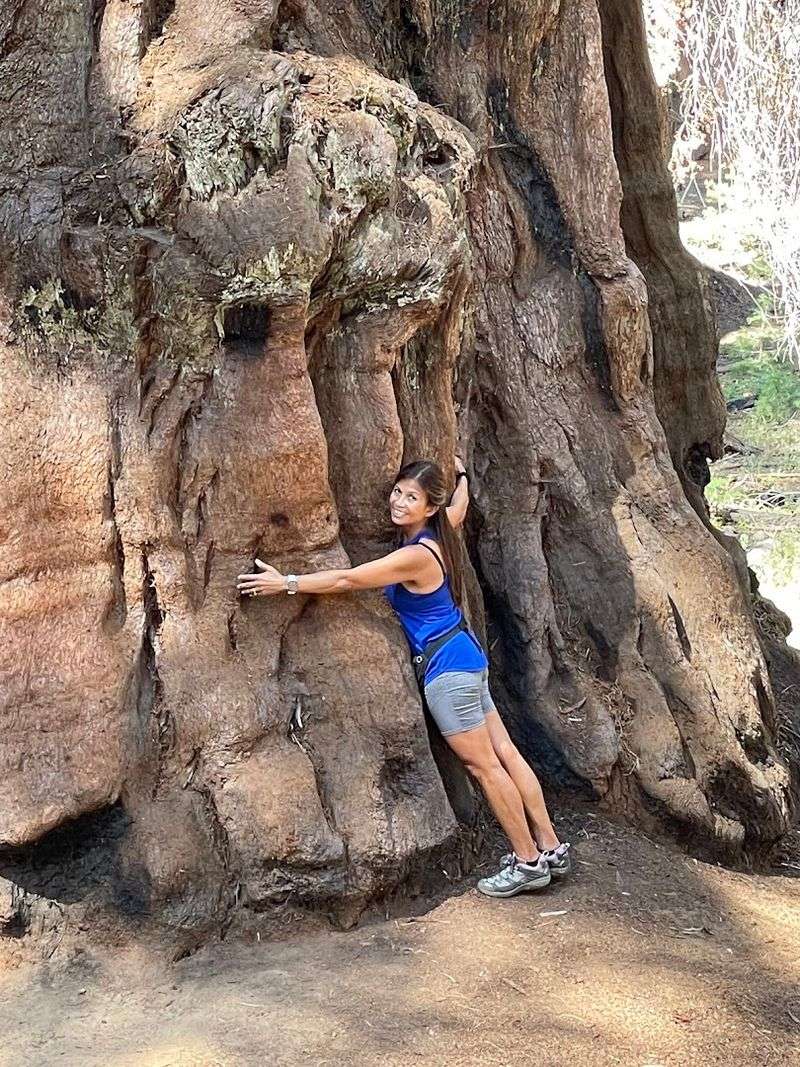 Congress Trail, Sequoia National Park