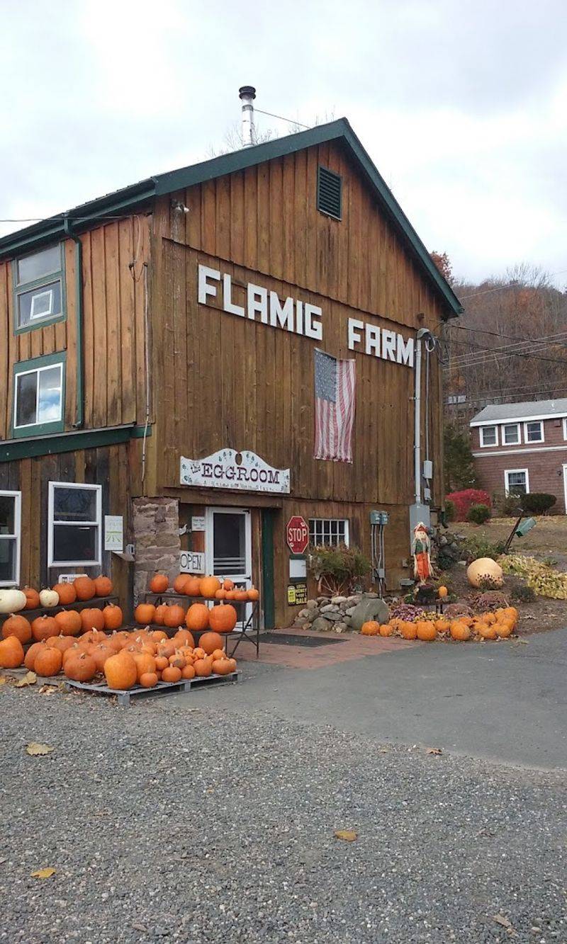 Seasonal Visits With Extra Farm Fun