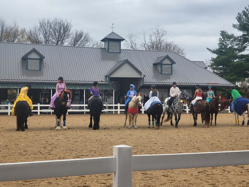 Horse And Pony Rides For All Ages