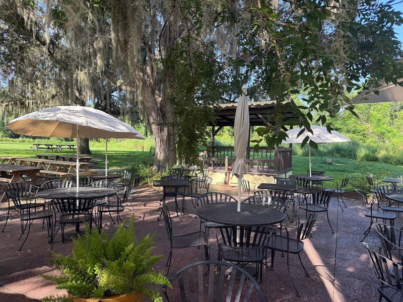 The Outdoor Biergarten Atmosphere