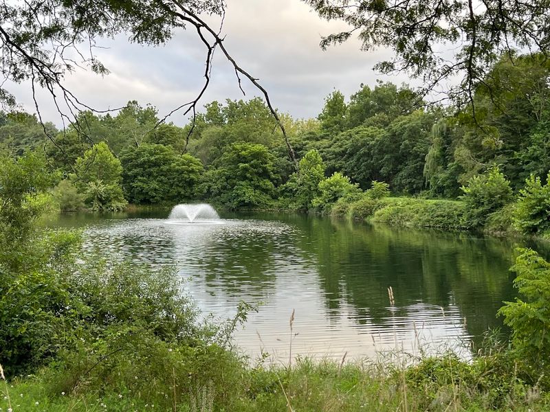 Quiet Parks Ideal For A Leisurely Stroll